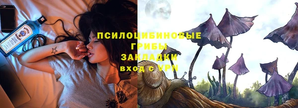 соль ск Арсеньев